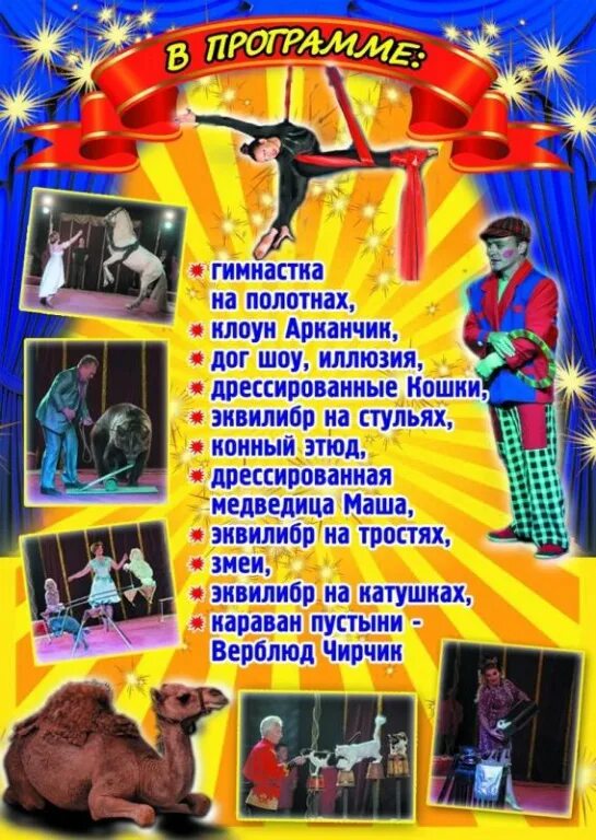 Цирк дзержинск. Дзержинск цирк шапито. Цирковой коллектив. Отчетный концерт циркового коллектива. Цирк друзей дзержинск.