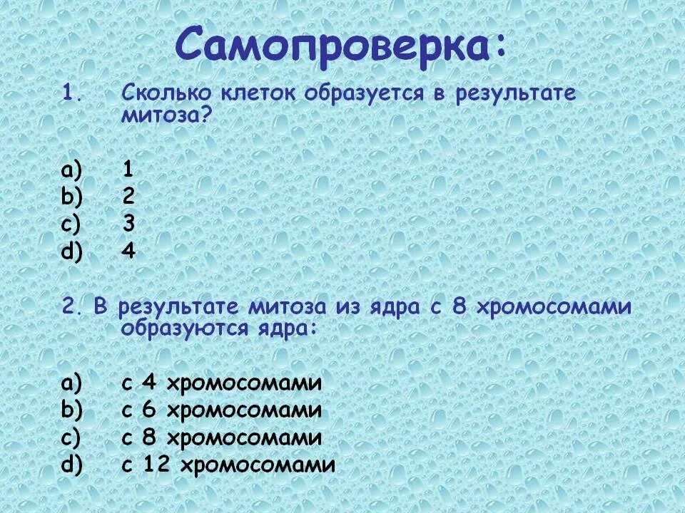 В результате митоза формируется. В результате митоза образуются. В результате митоза образуются клетки. Что появляется результате митоза. Сколько клеток образуется в результате митоза.