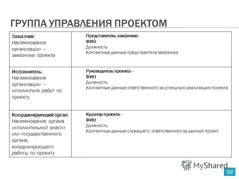 Должности представителей организации. Документ подтверждающий участие представителя в проекте пример. Группа управления проектом пример проекта. Наименование организации Наименование проекта. Наименование организации заказчика.