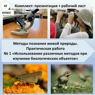 Методы познания живой природы 10 класс презентация
