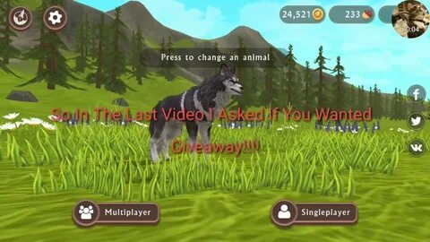 Wildlife мод много денег