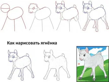 Как нарисовать волка 2 класс