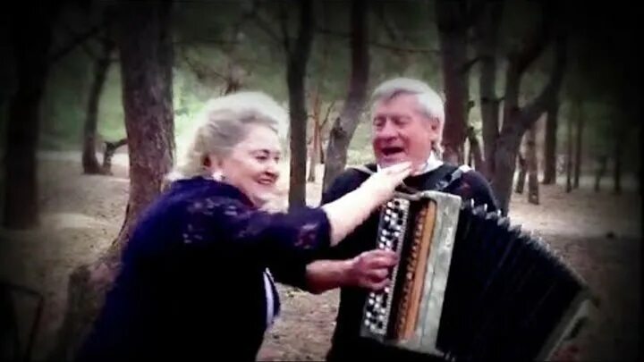 Алексей ерахтин гармонист. В деревне под гармонь плясать. Сирень гармонь. Песни про деревню под гармонь. Эх разыграйся гармонь.