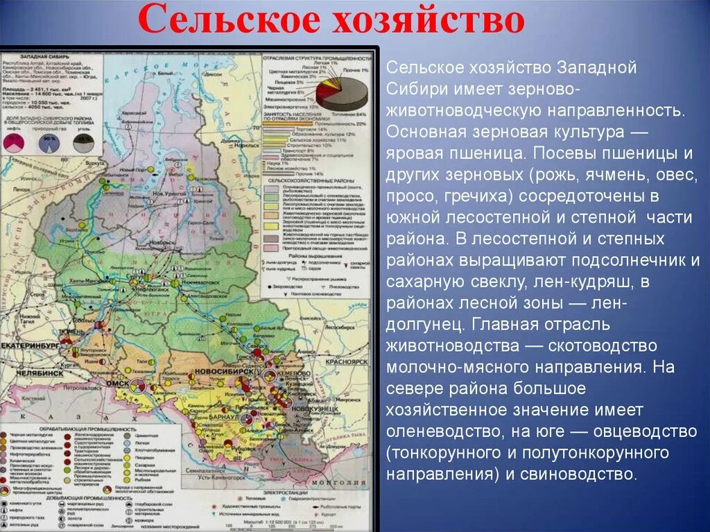 Урок западная сибирь 9 класс. Сельское хозяйство Западной Сибири центры. Сельское хозяйство Западной Сибири таблица. Сельское хозяйство Западно Сибирского района. Сельское хозяйство Западной Сибири животноводство.