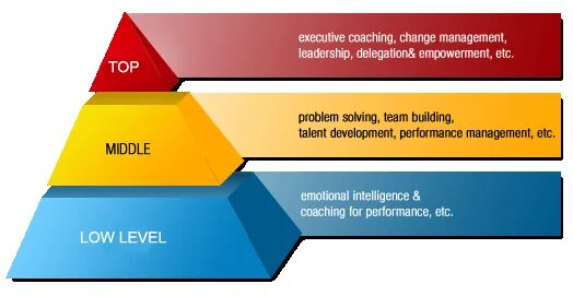 Middle и Top менеджмент. Топ Мидл Лоу менеджмент. Уровень Middle что это. Мидл-менеджмент это. Levels of functioning