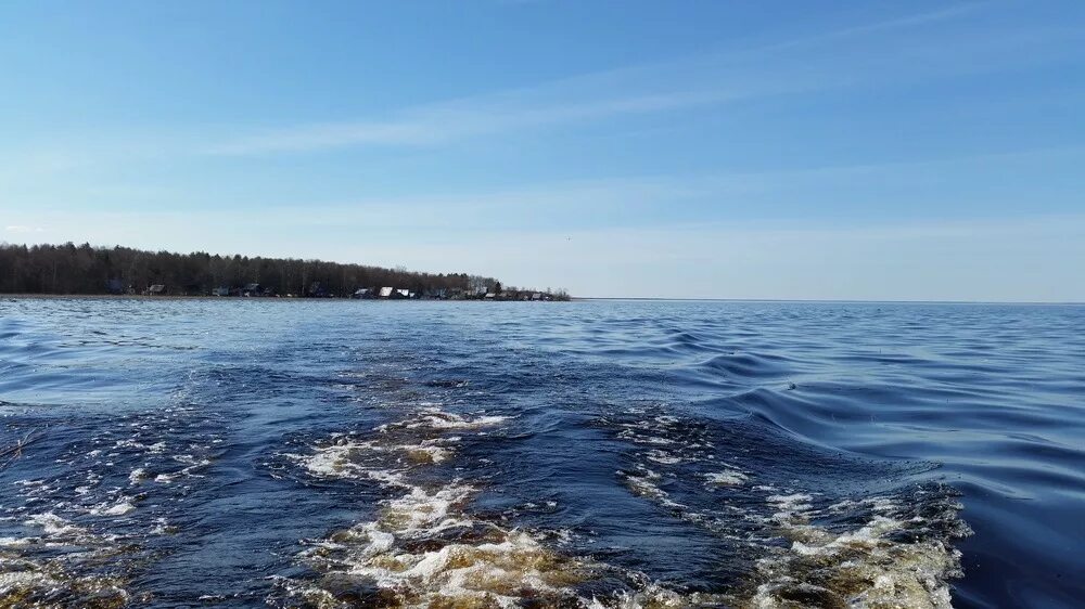 Погода озера воже. Озеро Воже Вологодская область. Остров Спасский озеро Воже. Остров спас на озере Воже. Вожега озеро.