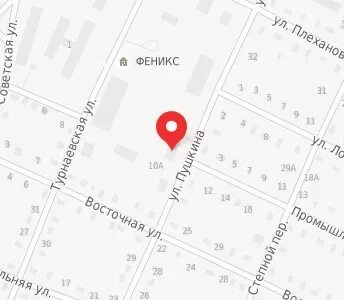 Пушкина 33 карта