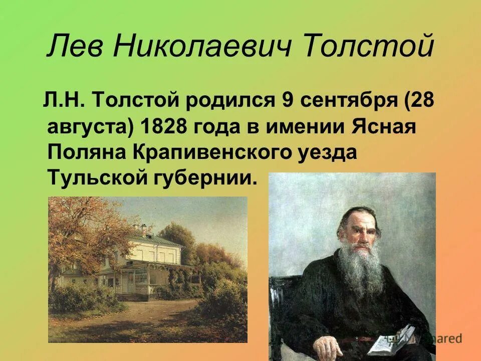 Сколько жил толстой