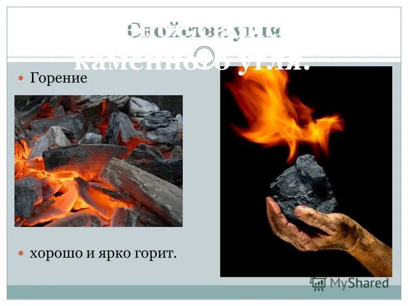 подовое или колосниковое горение что лучше. горение огня. угли костра. кос. красивый огонь.