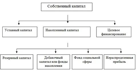 Структура собственного капитала организации