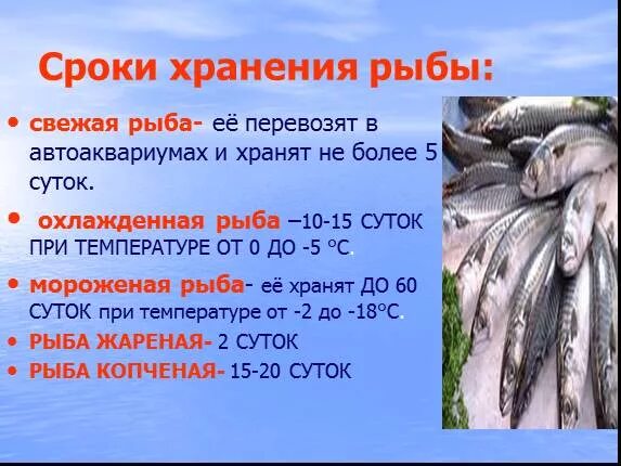 Срок годности морепродуктов. Продолжительность хранения рыбы. сроки хранения живой рыбы. условия и сроки хранения рыбы. каковы сроки хранения живой рыбы.