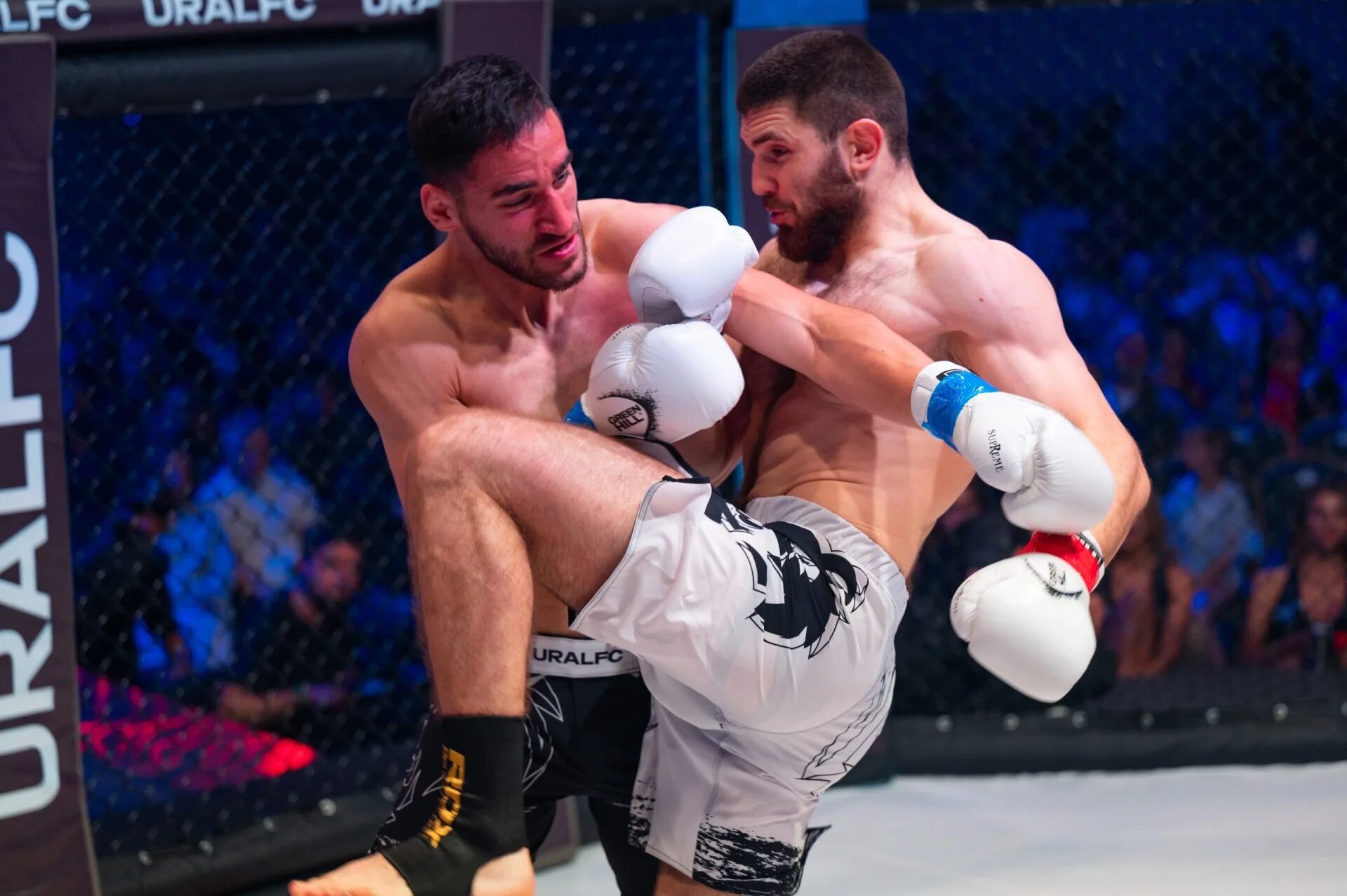 Ural fighting championship. Ведущий урал файт. Бой урала с дивами. Ural fighting. Ural fighters.