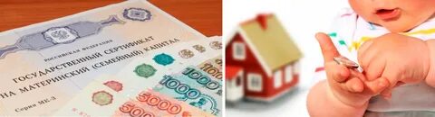 Материнский капитал в беларуси в 2024 году