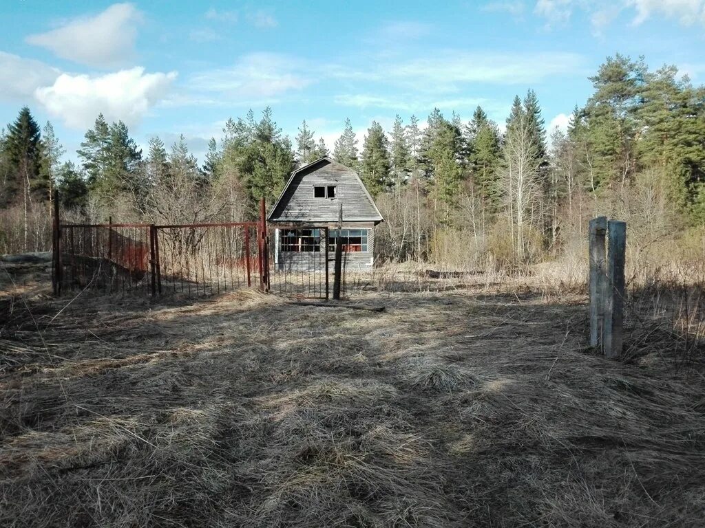 Погода в кузнечном ленинградской на неделю. Кузнечное Приозерский район. Поселок кузнечное Приозерский. Ленинградская обл. Приозерский район. Пгт кузнечный.. Пос кузнечное Приозерский р-он Ленинградская обл.