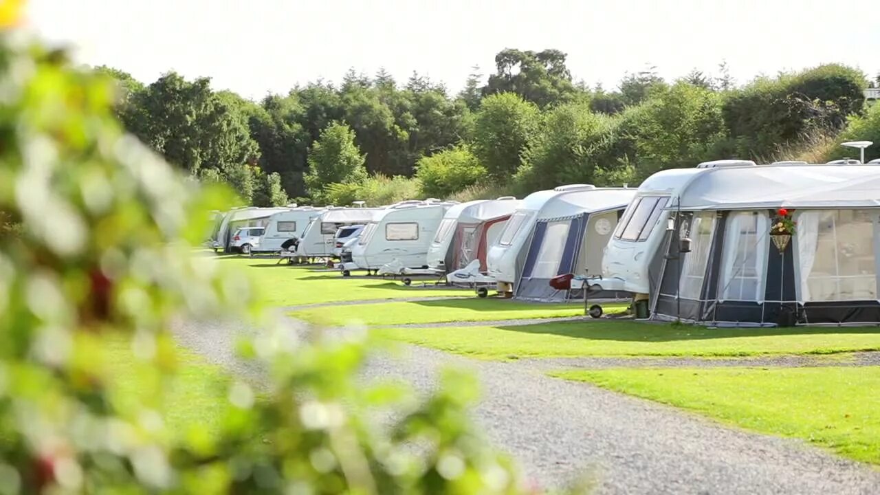 Camping park. Караван кемпинг. Автокемпинг кемпинг туризм в России. Автокемпинг караванинг. Автокемпинг Рыбачье.