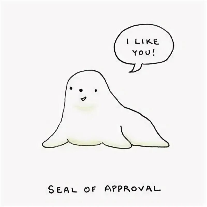 The little seal is laughing at us