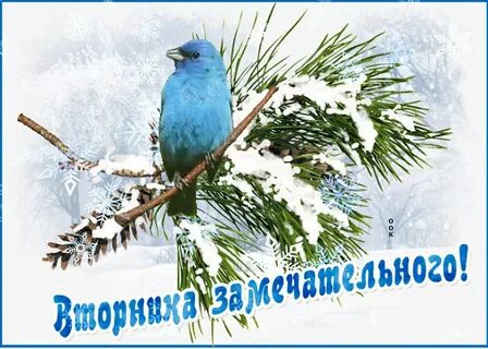 Доброе утро снежного вторника