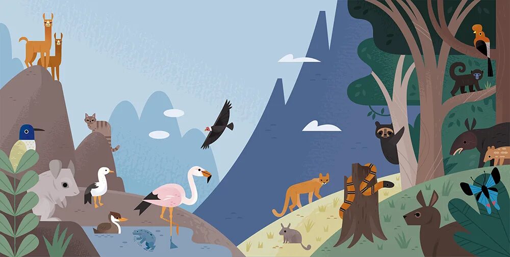 Forest Habitats cartoon. Anna Claybourne «animal Atlas», Издательство « a & c Black / a&c Black childrens & Educational», 2014. Animal Habitats illustration background. Quiet Country illustration.