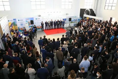 Нефть и газ 2023