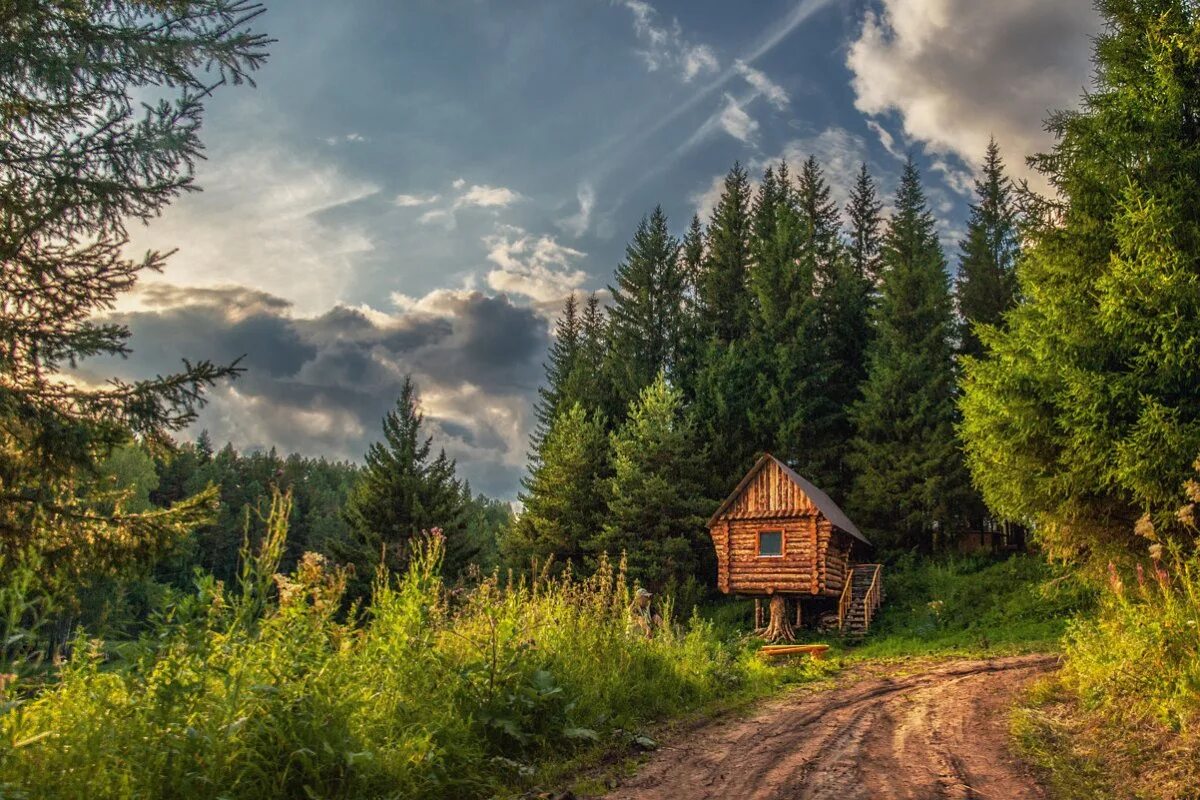 Домик на природе. Домик в лесу зимой. Хижина в лесу домик. Зима заимка тайга избушка сибирь. Домик в зимнем лесу.