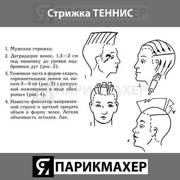 Стрижки полубокс пошагово. Схема стрижки бокс и полубокс. Стрижка теннис схема. Мужская стрижка полубокс технология выполнения. Стрижка теннис мужская схема
