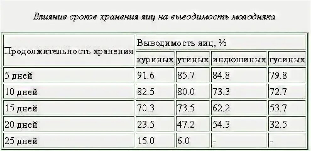 Срок годности гусиных яиц
