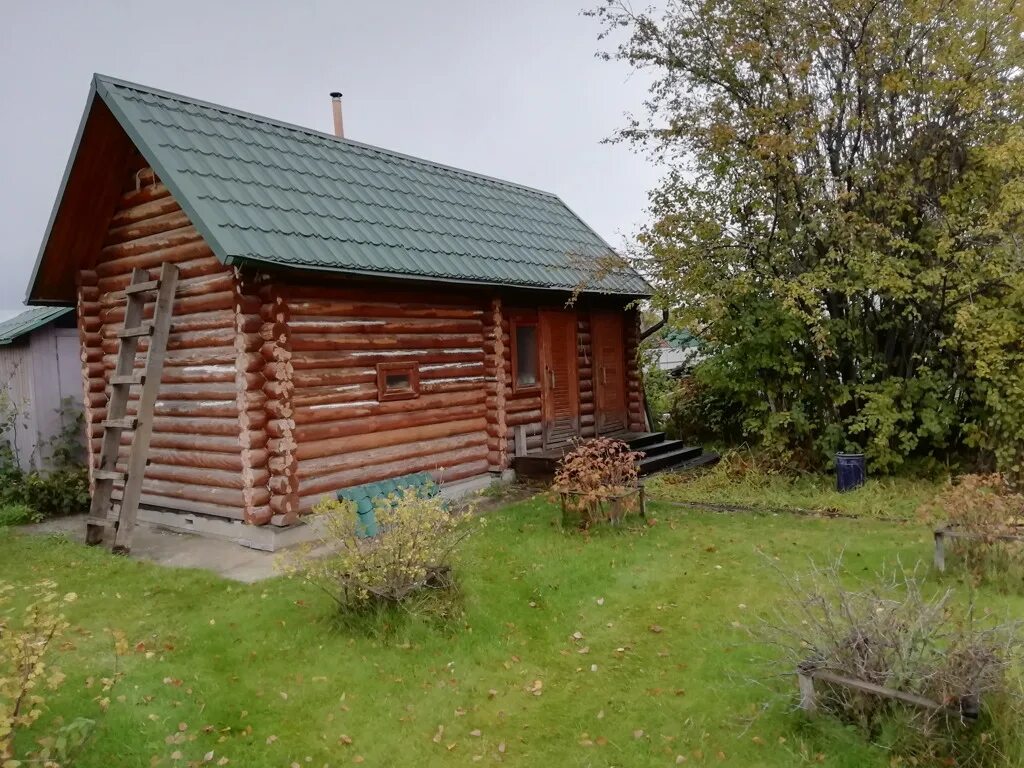 Дача строитель новосибирск. Снт строитель новосибирск. снт строитель академгородок. баня на участке. новосибирск пасечная дача.