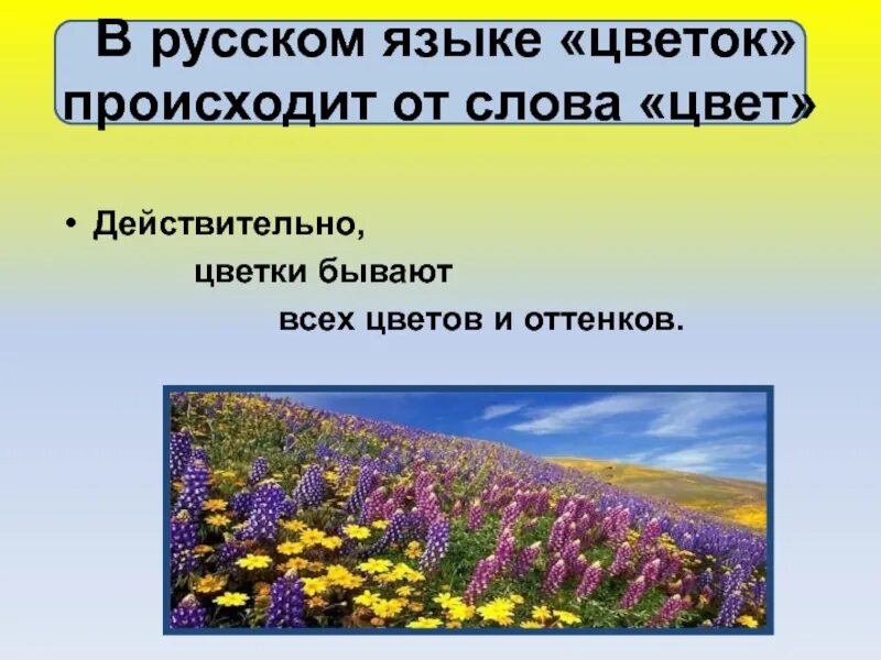 Слово цвести время. Слово цветы. Цветок для слов в презентацию. Слово растения. Цветы на русском языке.