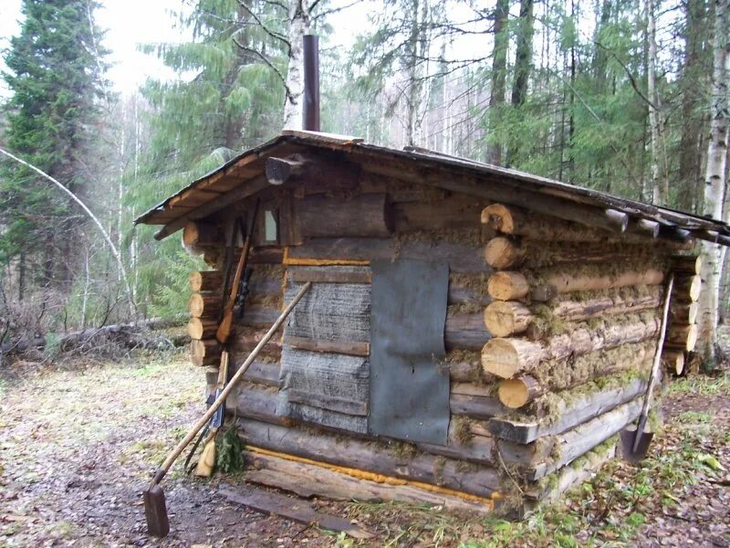 строим избу в тайге. строим избу в тайге. строим избу в тайге. заимка тайга избушка сибирь. сосновый лес изба скит торжок.