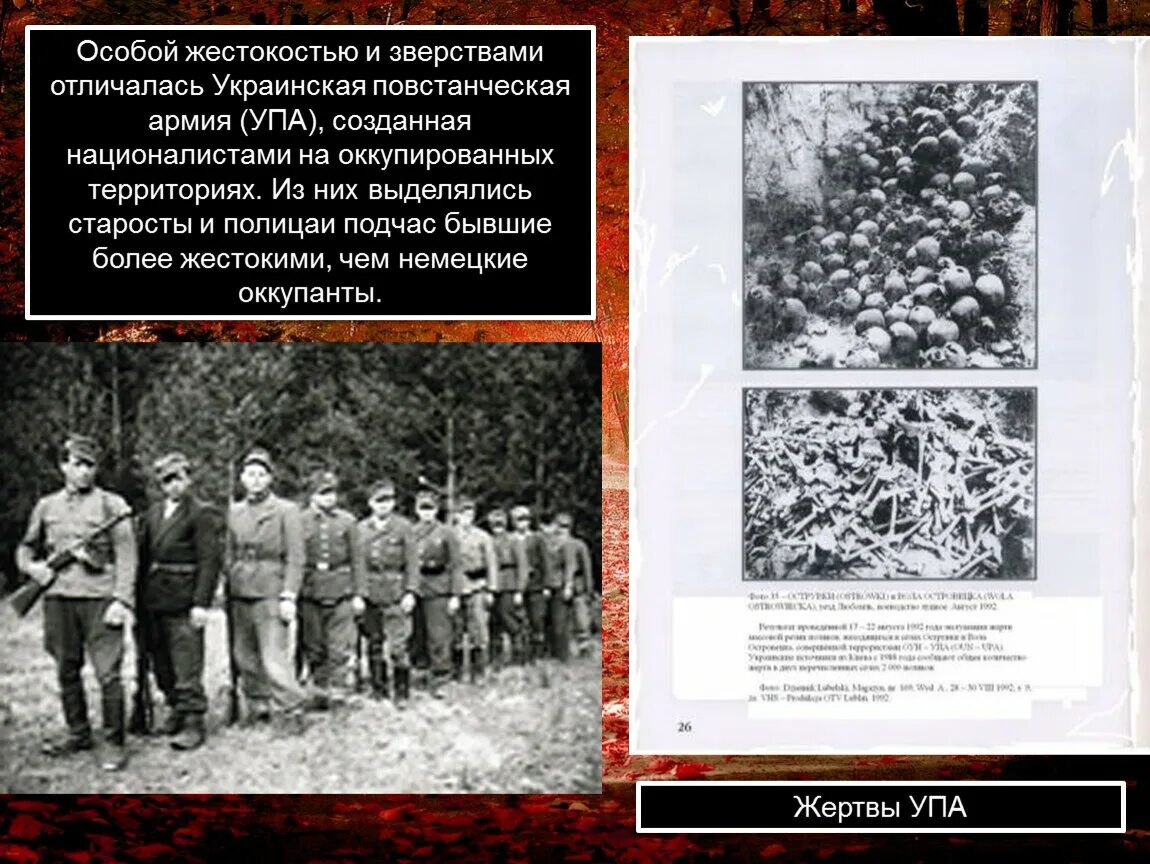 Особая жестокость это