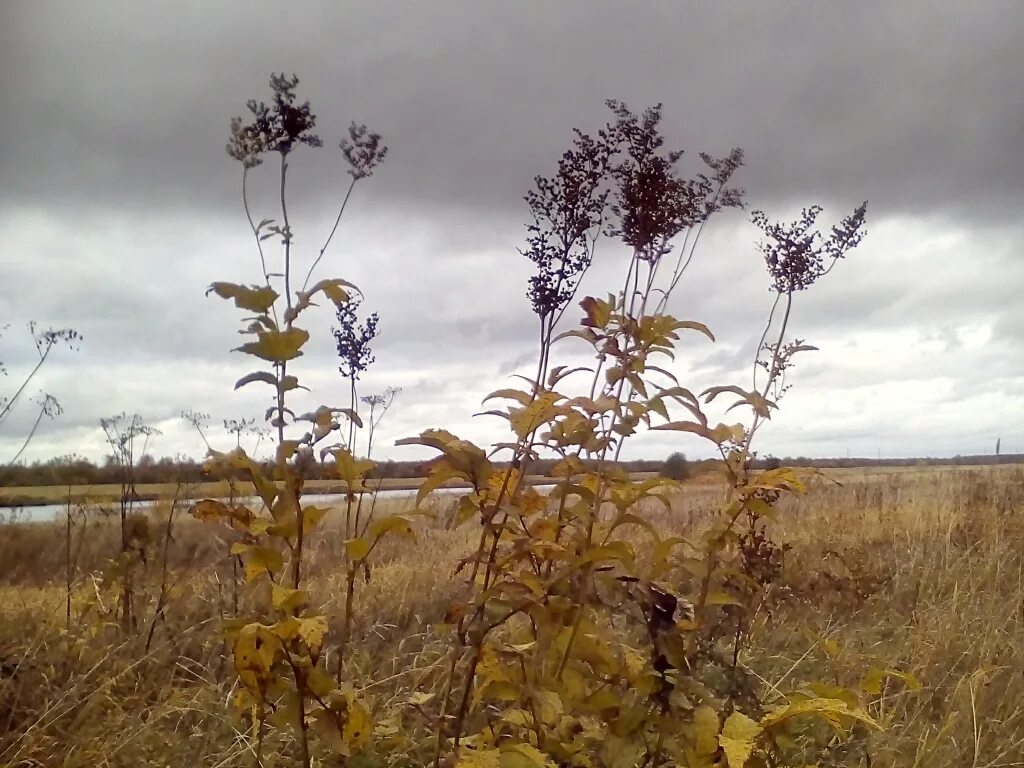 Погода вуктыл цгмс. Коми ЦГМС Вуктыл 48. Коми ЦГМС Сыктывкар. Коми ЦГМС Сыктывкар погода.