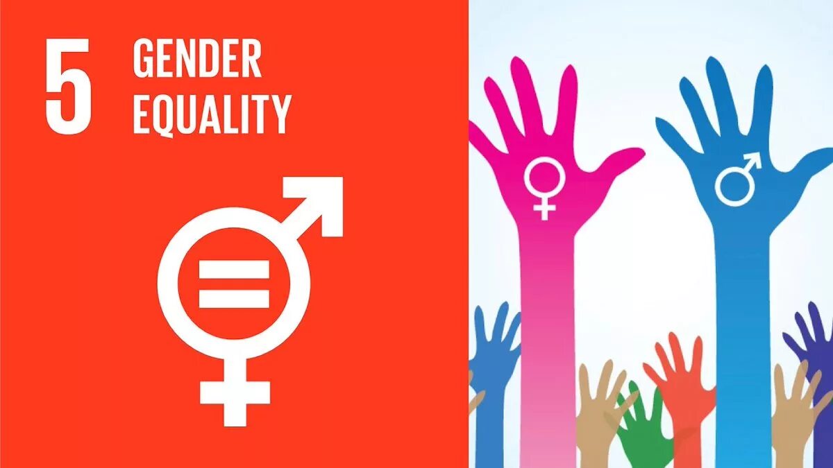 Гендерное равенство. ЦУР гендерное равенство. ЦУР 5 гендерное равенство. Цель 5 гендерное равенство. Gender 1.16 5