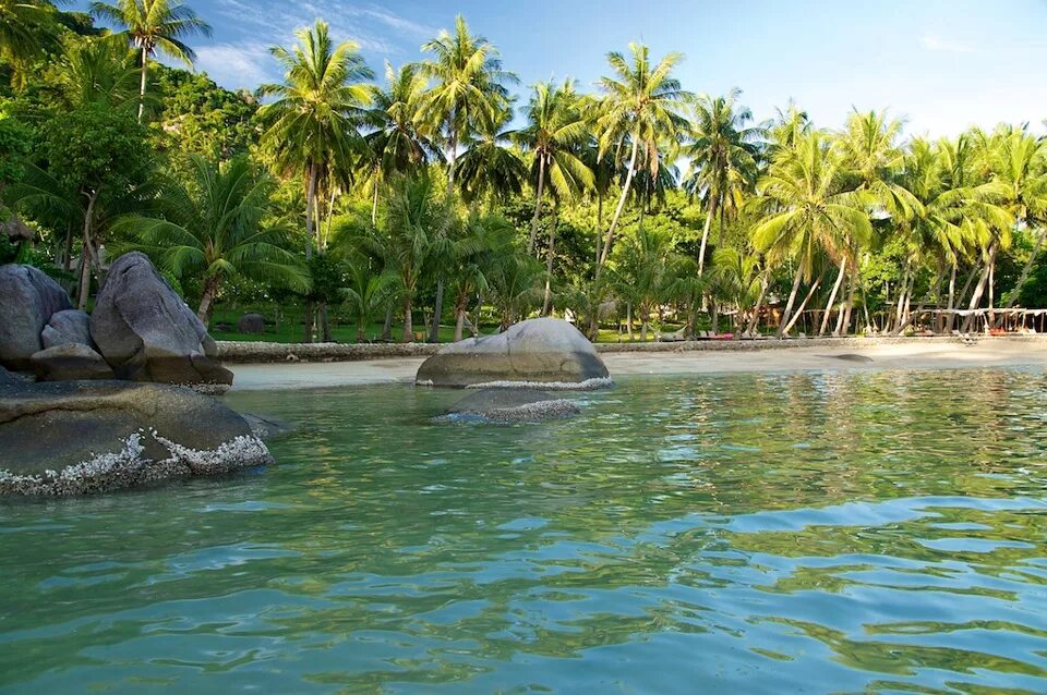 Пляж черепах унаватуна. Джангл бич унаватуна. Turtle beach шри ланка унаватуна. Пляж хиккадува шри ланка черепахи. Хиккадува черепаший пляж.