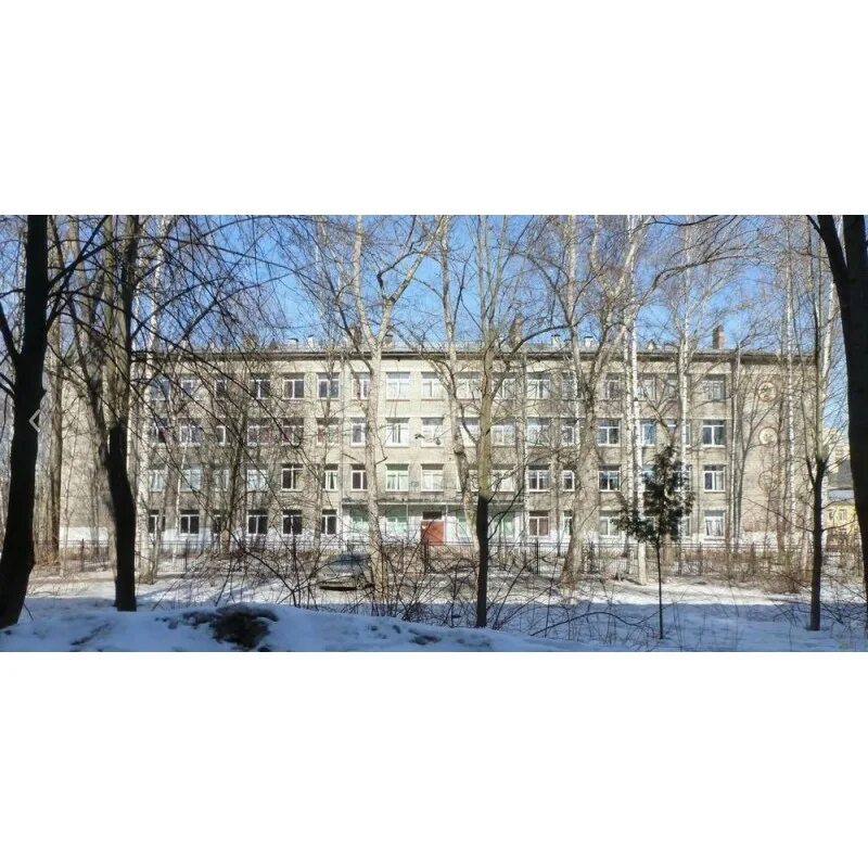 Сайт школы 113 санкт петербург. Сайт школы 113 санкт петербург. 113 школа волгоград красноармейский. Учителя 113 школы спб. Фото 113 школы.