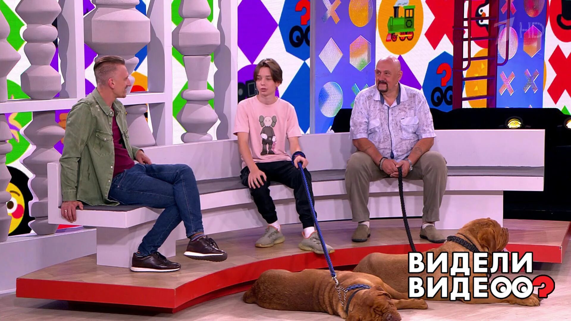 передача про домашних животных на первом канале. видели видео первый канал 2021. программа про животных на первом канале. видели видео на первом канале. видели видео.