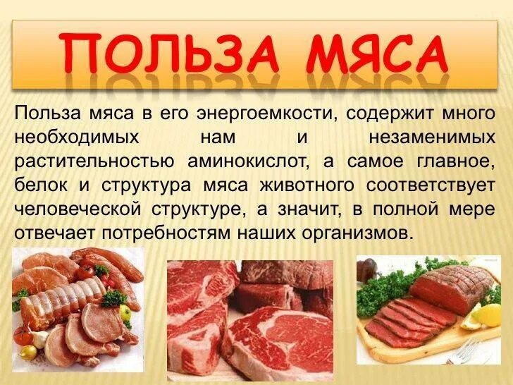 Можно ли человеку есть мясо. Польза мяса. Чем полезно мясо для человека. Польза мяса для организма. Мясо чем полезно для организма.