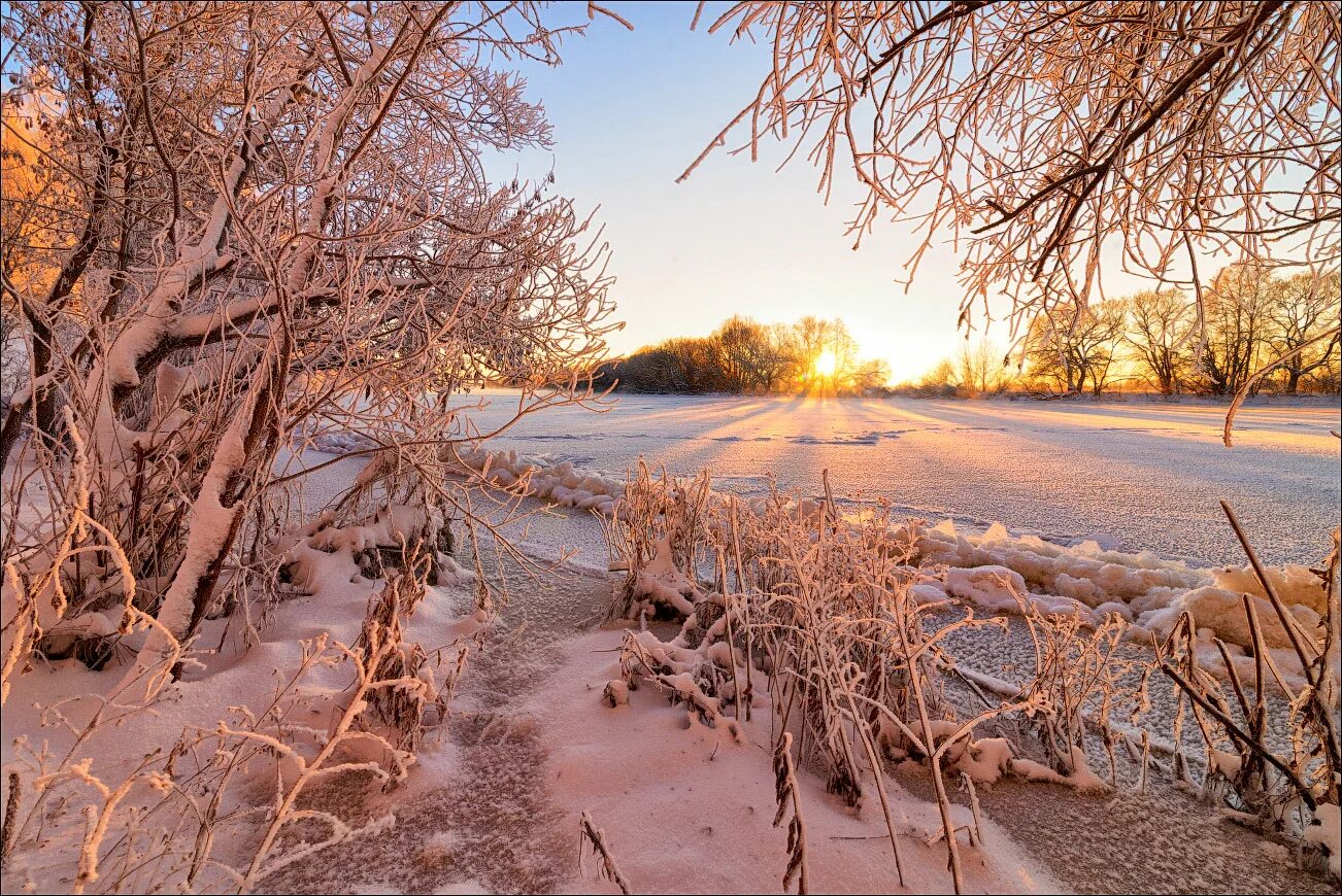 Утро зима картинки. Морозное утро. Снежное утро. Морозное зимнее утро. Иней на деревьях.