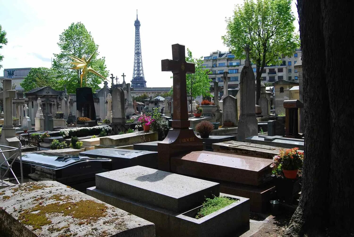 Жизнь на кладбище купить. Кладбище Пасси. Кладбище Пасси в Париже. Восточное кладбище Парижа. Самое красивое кладбище в мире Пасси.