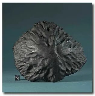 Meteor 1.16 5