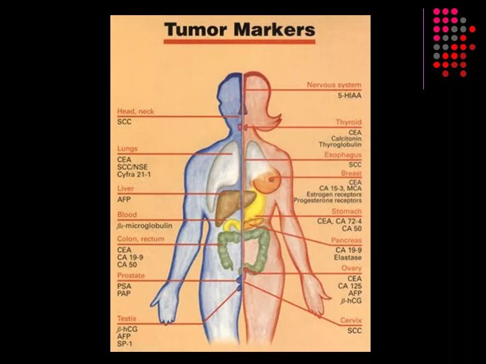 Онкомаркеры. Онкомаркеры желудок и кишечник. Набор онкомаркеров для женщин. Онкомаркеры стандартный набор. О чем говорят онкомаркеры