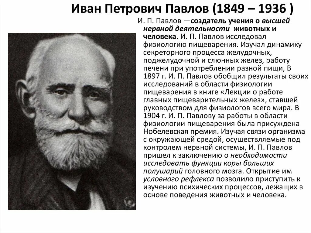 Биография о Иване Павлове. Краткая биография Павлова Ивана Петровича. Российский физиолог