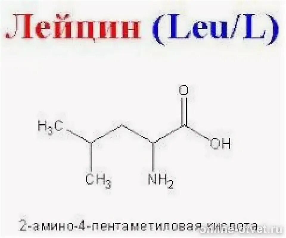 Структурная формула лейцина. Лейцин формула. Лейцин структурная формула. Л лейцин формула. Хай лей лей