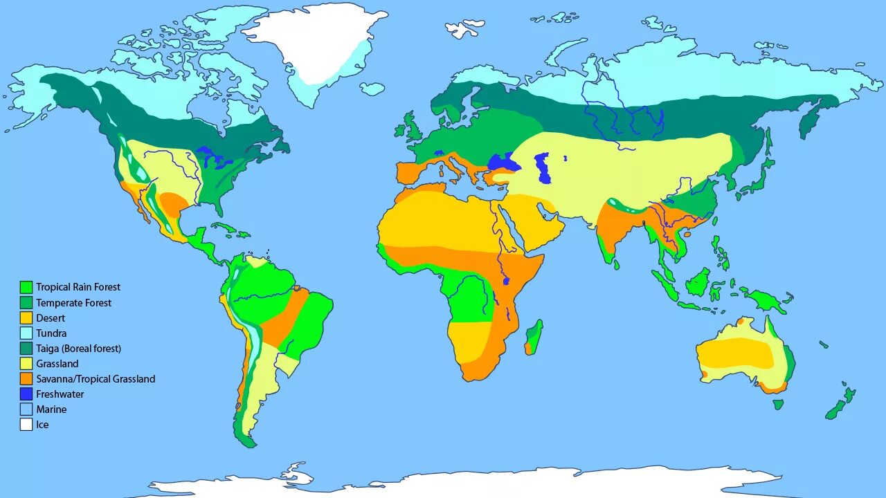 Биомы земли. Природные зоны земли. Карта основных биомов суши. Natural zones