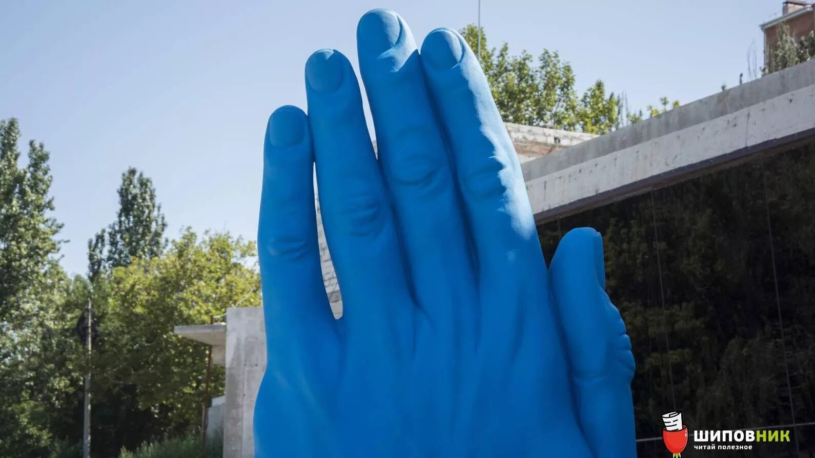 Синяя ладонь. Голубые руки. Синяя рука фото. Большие синие руки.