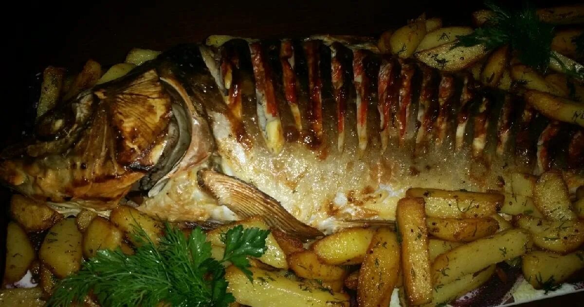 Рыба фарширов карп. Карп в духовке. Рыба карп запеченный. Карп запечённый в духовке целиком. Жареный карп в духовке целиком.