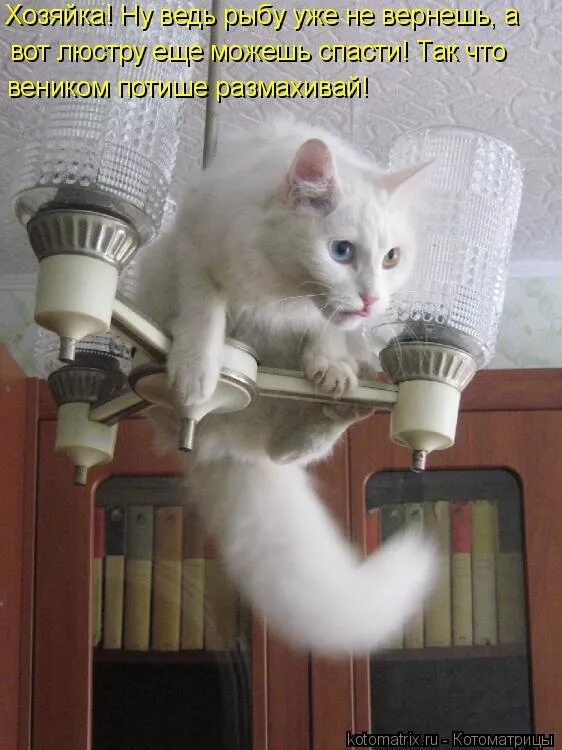 Так она стоит