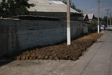 Узген 10 дней точный