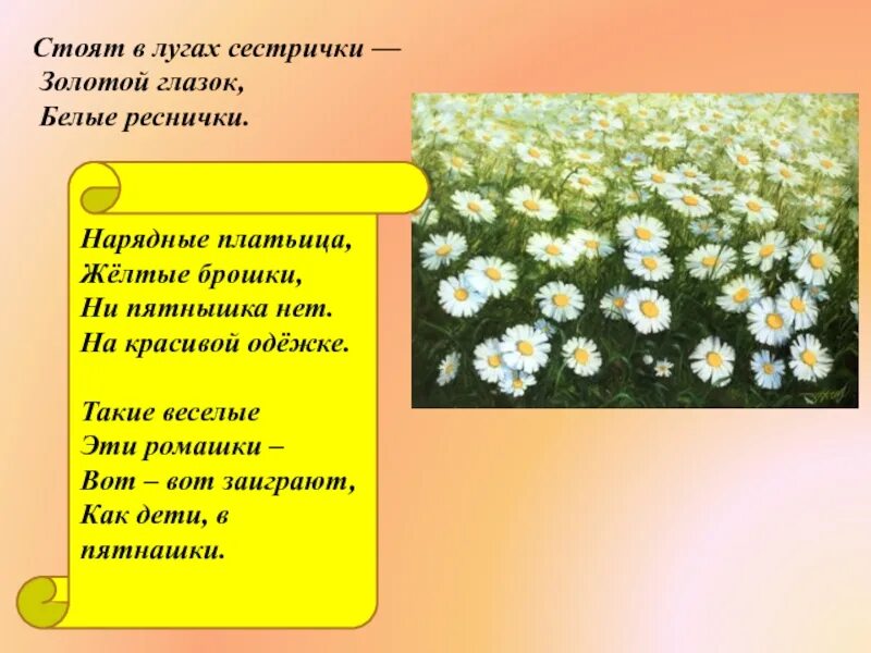 Отгадай загадку нарядные платьица желтые брошки. Нарядные платьица желтые брошки ни пятнышка нет на красивой. Стоят в лугах сестрички золотой глазок белые реснички. Загадка нарядные платьица желтые брошки ни пятнышка. Загадка нарядные платьица желтые.