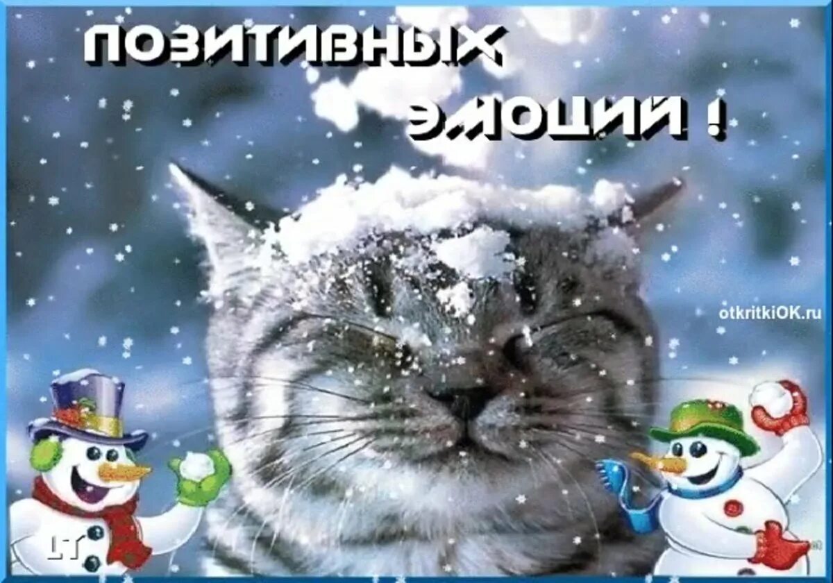Добрый день 1 день зимы. Зимнего настроения и хорошего дня коты. с первым днем зимы хорошего настроения. с первым днем зимы доброе утро. позитивного зимнего настроения.