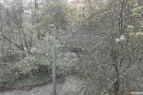 Когда пойдет снег в спб